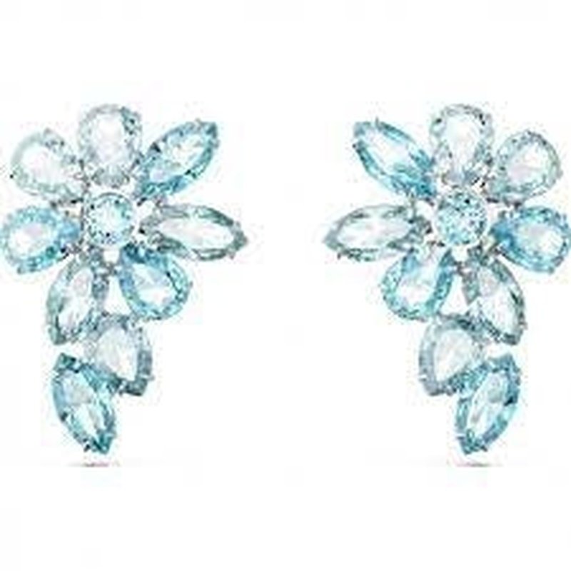 Discount Luxury Swarovski [product_name] with Free Shipping