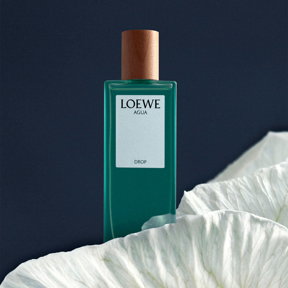 Discount Luxury Loewe [product_name] with Free Shipping