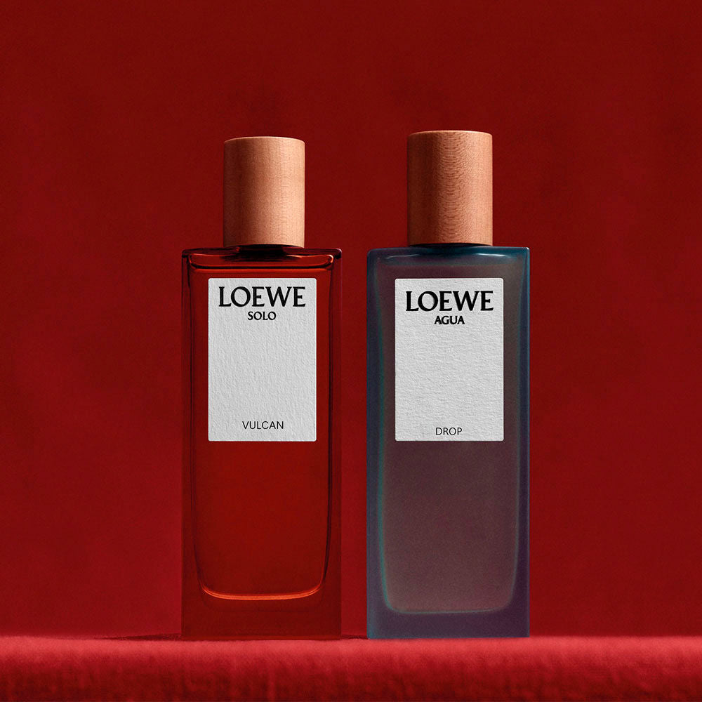 Discount Luxury Loewe [product_name] with Free Shipping