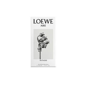 Discount Luxury Loewe [product_name] with Free Shipping