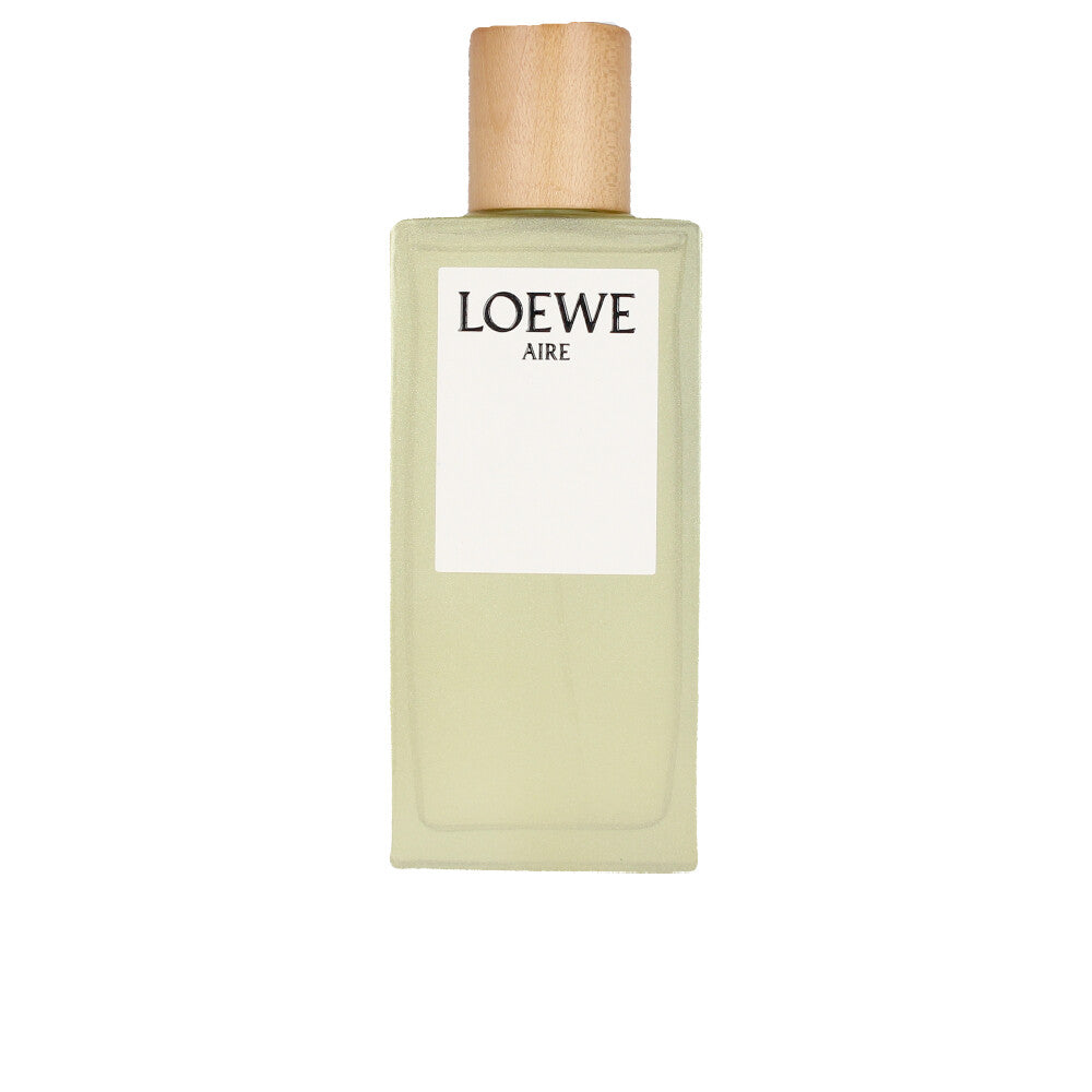 Discount Luxury Loewe [product_name] with Free Shipping