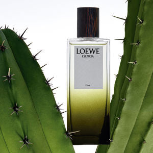 Discount Luxury Loewe [product_name] with Free Shipping