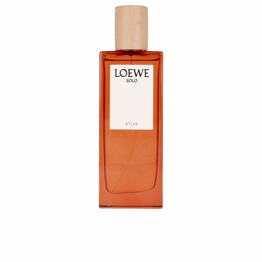 Discount Luxury Loewe [product_name] with Free Shipping