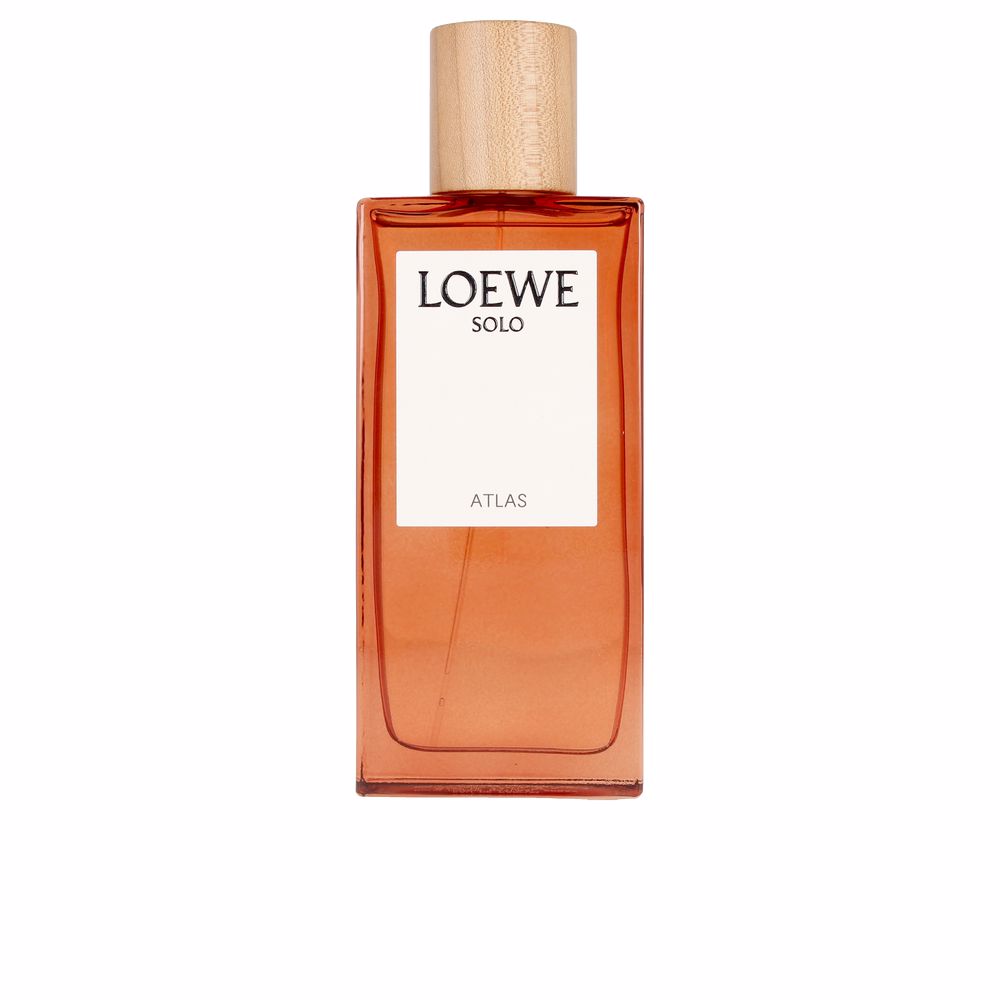 Discount Luxury Loewe [product_name] with Free Shipping