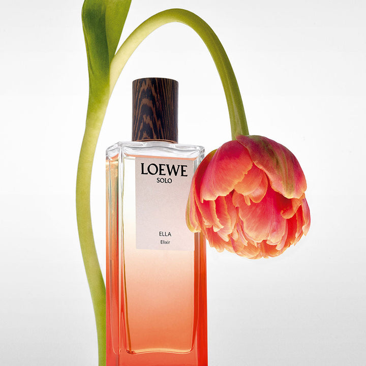 Discount Luxury Loewe [product_name] with Free Shipping