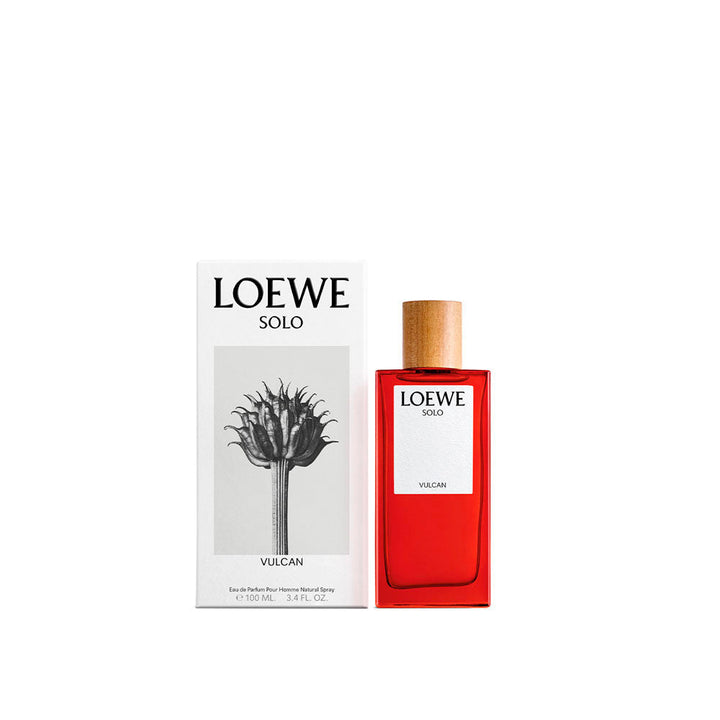 Discount Luxury Loewe [product_name] with Free Shipping