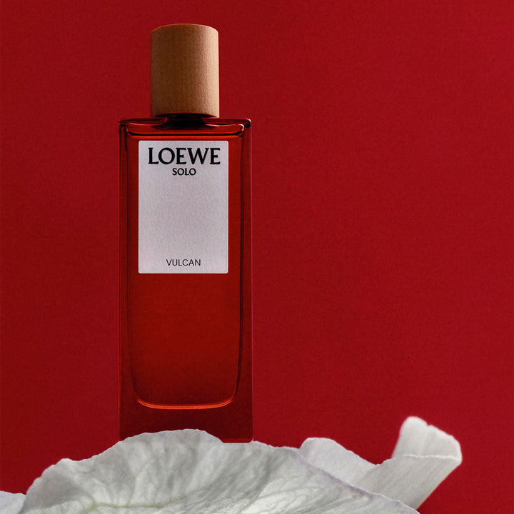 Discount Luxury Loewe [product_name] with Free Shipping